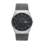 Skagen Stainless Steel Mesh Skw6078