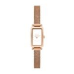 Skagen Stainless Steel Skw3148