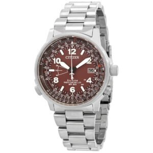 Citizen Perpetual World Time Watch CB0241-85X - luxury watch
