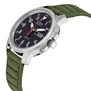 Citizen Strap Eco-Drive 180 Day-Date Men's Watch BM8180-03E